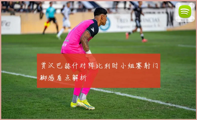 贾汉巴赫什对阵比利时小组赛射门脚感看点解析
