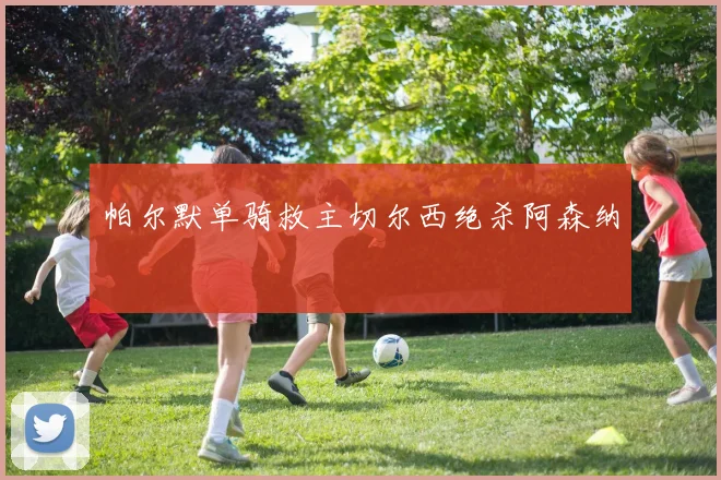 帕尔默单骑救主切尔西绝杀阿森纳