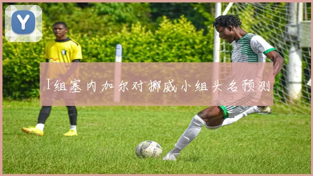 I组塞内加尔对挪威小组头名预测