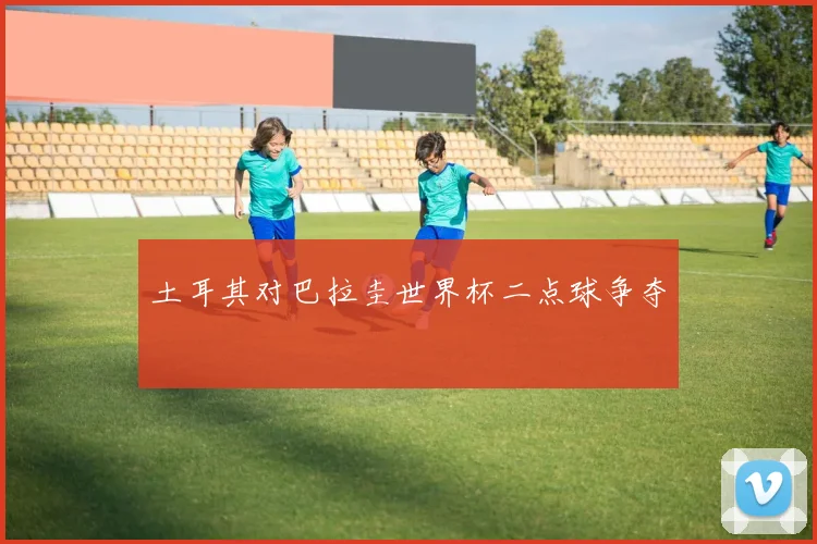 土耳其对巴拉圭世界杯二点球争夺