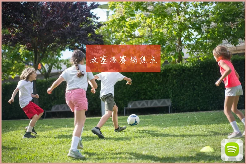 坎塞洛赛场焦点